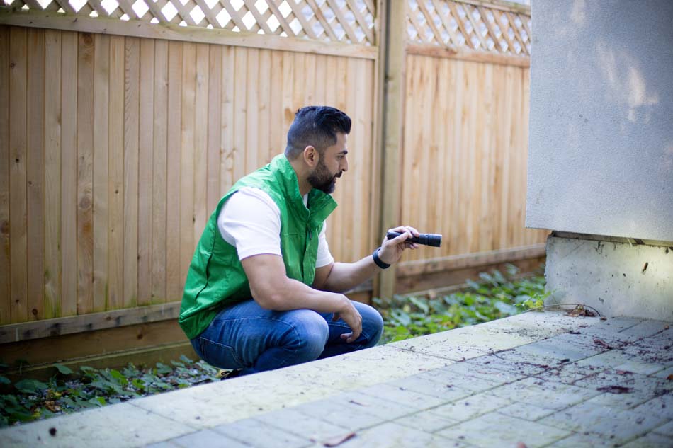 Home inspector inspects house foundation